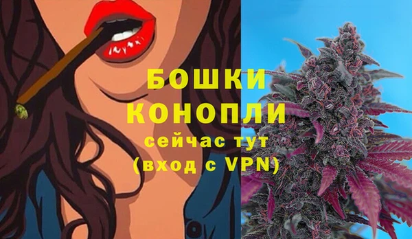 стаф Беломорск
