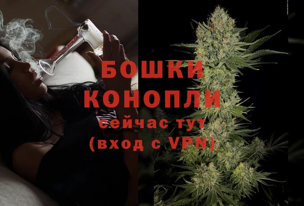 стаф Беломорск