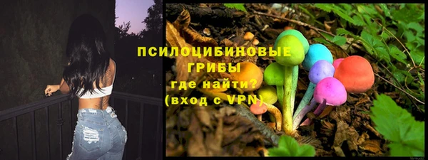 стаф Беломорск