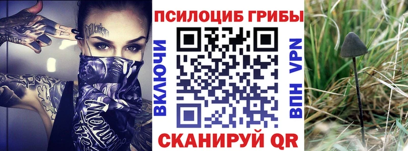 Галлюциногенные грибы MAGIC MUSHROOMS Кузнецк